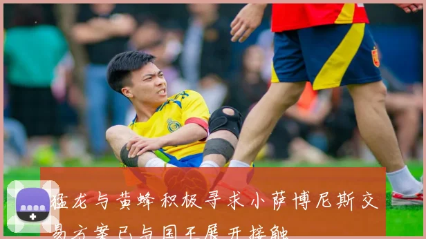 猛龙与黄蜂积极寻求小萨博尼斯交易方案已与国王展开接触