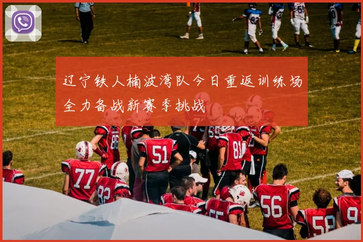 辽宁铁人楠波湾队今日重返训练场全力备战新赛季挑战