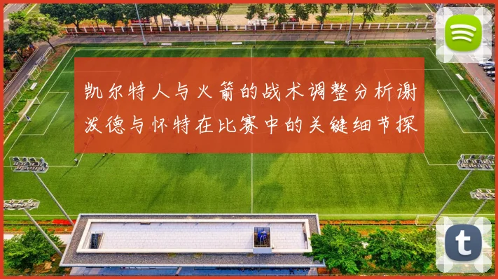 凯尔特人与火箭的战术调整分析谢泼德与怀特在比赛中的关键细节探讨